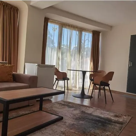 Elegant Loft * Plowdiw