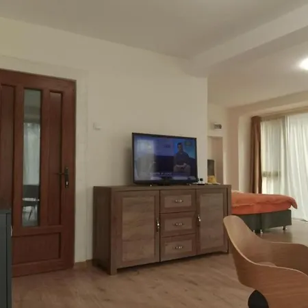 Elegant Loft Apartment Plowdiw