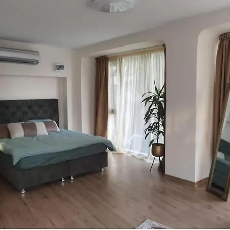 Elegant Loft Lägenhet