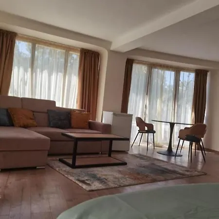 Elegant Loft Lägenhet Plovdiv